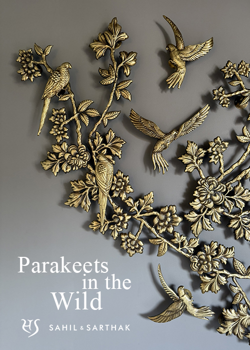 Parakeets in the Wild by Sahil & Sarthak